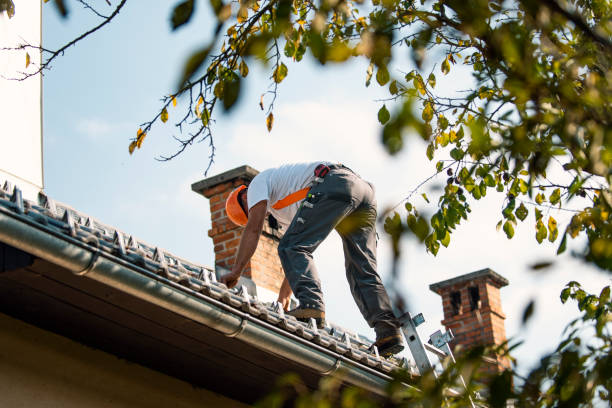 Best Roof Leak Repair  in Moscow, ID